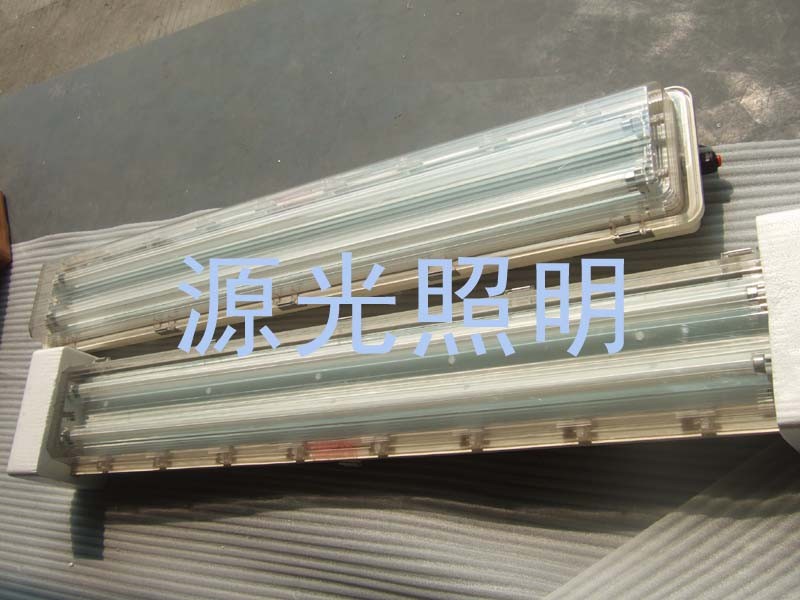 供应深圳防爆防腐全塑荧光灯